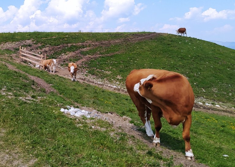 Ilustrační foto