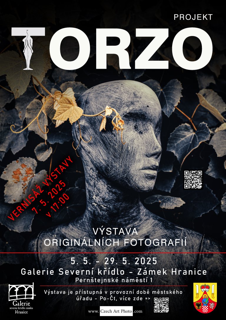 Projekt Torzo