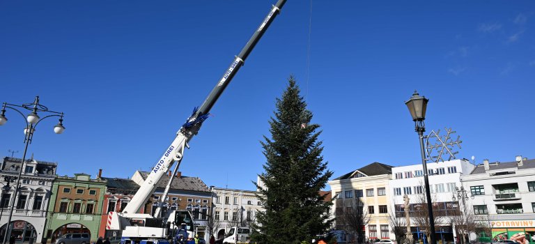 Vánoční strom už zdobí Masarykovo náměstí