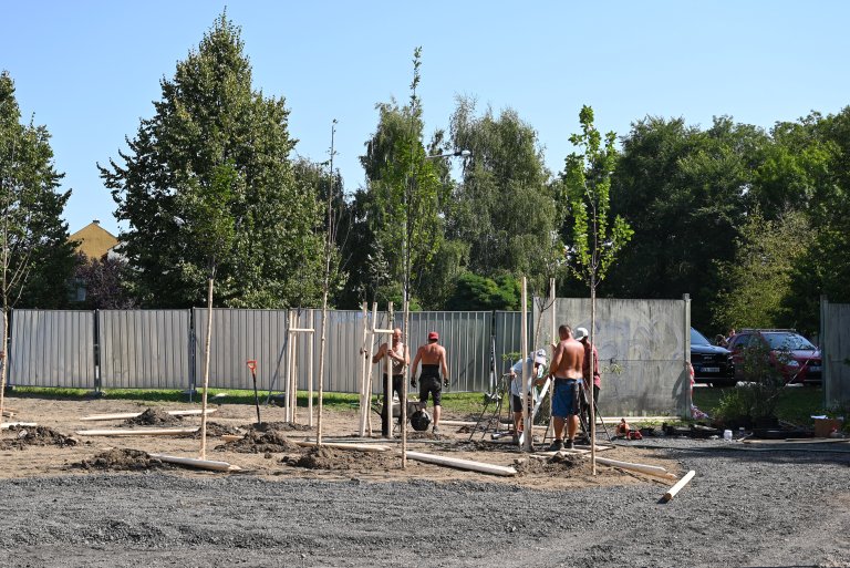 Zchátralá budova v ulici Komenského uvolnila místo zeleni