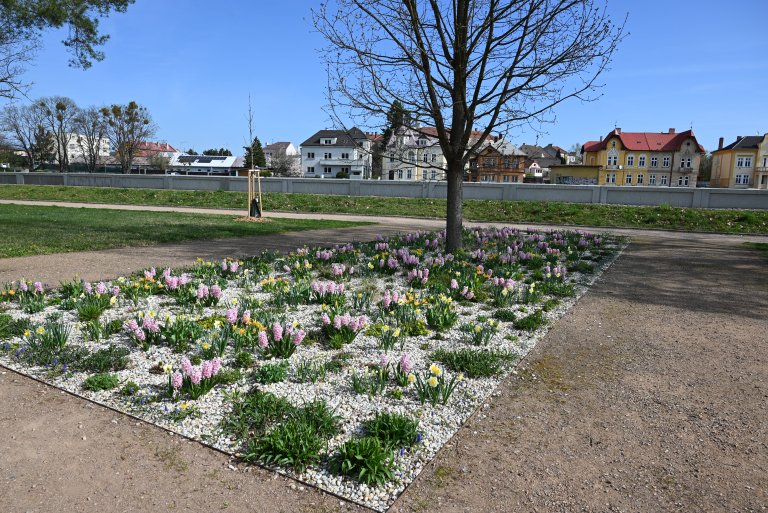 Sady Čs. legií prošly revitalizací