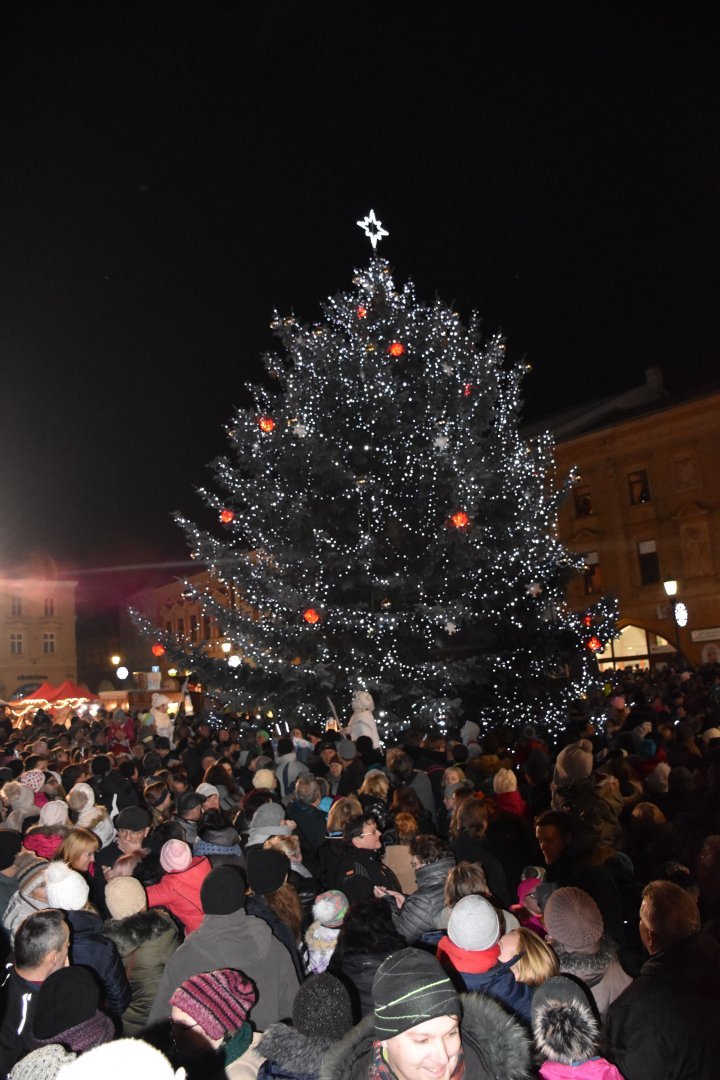 Vánoční strom