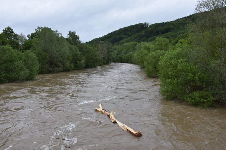 Rybáře - Bečva nesla  i velké kmeny